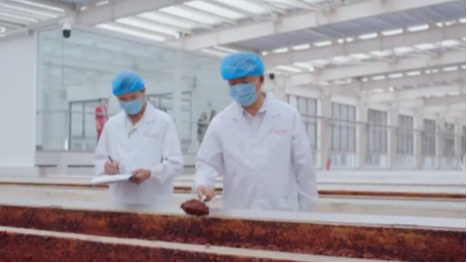 成都“立园满园”促发展 AI赋能守护川菜之魂