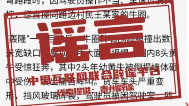 多人因编造谣言被处罚——今日辟谣（2025年11月17日）