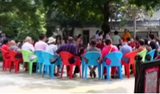 11月14日幸福观察