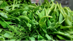 11月14日直播in成都