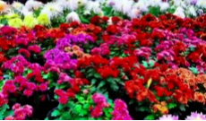 11月14日成都全接触