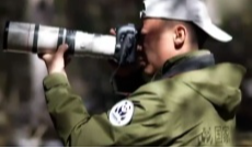 11月12日幸福观察