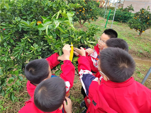 20251118_153349_366.jpg 20251118_153349_366.jpg