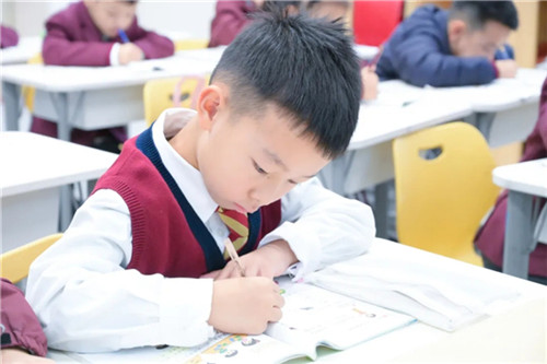 20251118_151337_308.jpg 20251118_151337_308.jpg