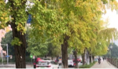 11月17日成都全接触