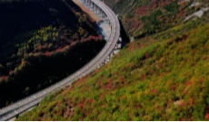 热度“爆表” 首个秋假成绩单亮眼