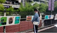 11月17日文兴锦官城