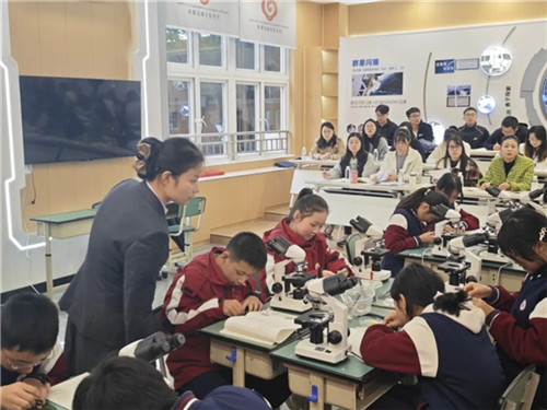 20251118_151907_333.jpg 20251118_151907_333.jpg