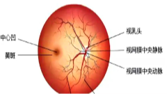 11月17日养老全接触