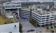 11月17日幸福观察