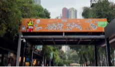 11月18日幸福观察