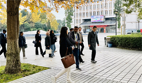 20251120_161745_397.jpg 20251120_161745_397.jpg