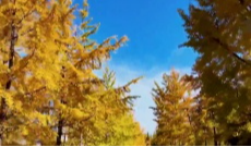 11月19日成都全接触