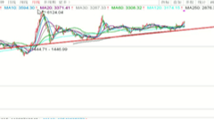 2025/11/19每日财经