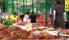 2025年11月20日《幸福社区》