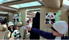 11月21日成都全接触