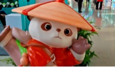 2025年11月24日《幸福社区》