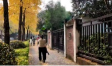 2025年11月26日《幸福社区》