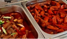 11月26日幸福观察