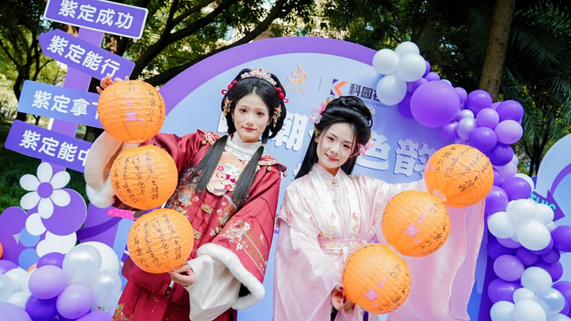 “国潮七色韵・肖+安康集” 2025年肖家河街道科园社区国潮焕新季顺利开展