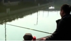 2025年11月27日《幸福社区》