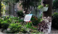 2025年11月28日《幸福社区》