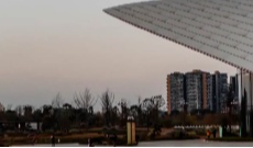 12月1日幸福观察