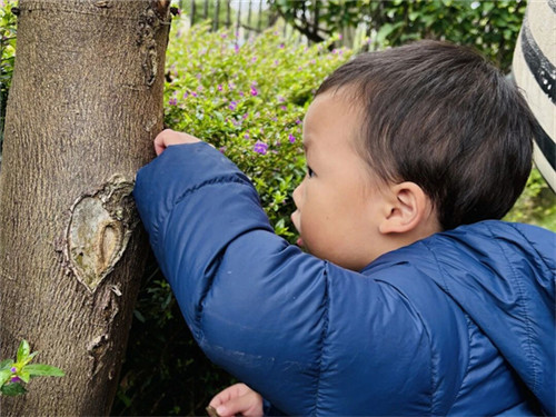 20251202_084112_007.jpg 20251202_084112_007.jpg