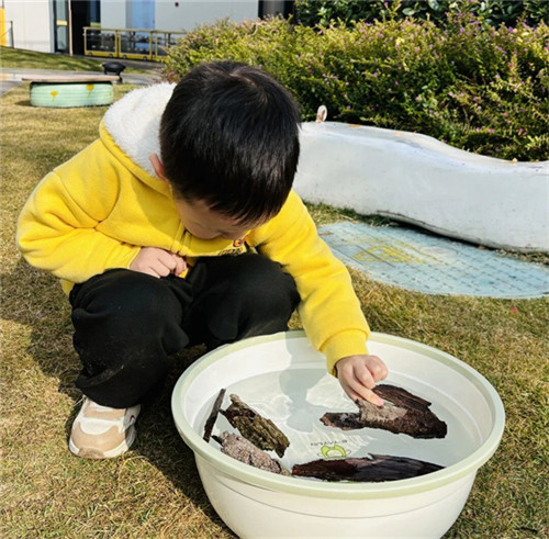 20251202_084112_000.jpg 20251202_084112_000.jpg