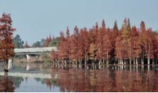 12月2日幸福观察