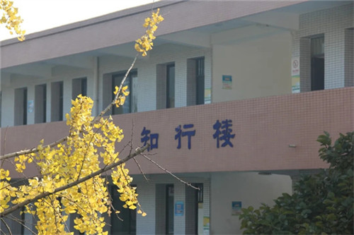 20251203_084537_004.jpg 20251203_084537_004.jpg