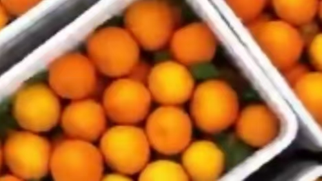 12月4日幸福观察