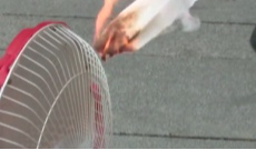 12月4日成都全接触