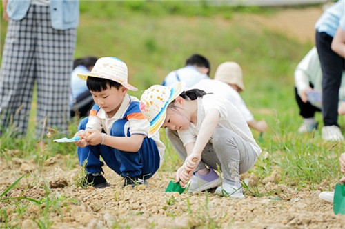 20251208_155433_268.jpg 20251208_155433_268.jpg