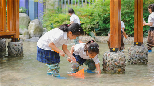 20251208_155433_266.jpg 20251208_155433_266.jpg