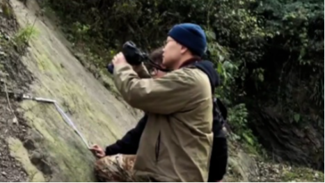 距今2亿年 都江堰首次发现恐龙足迹化石