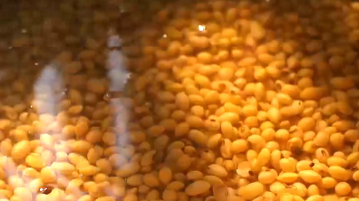  乐山非遗美食之西坝豆腐