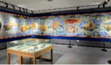 12月12日幸福观察