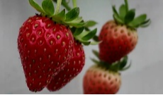 12月15日深夜快递