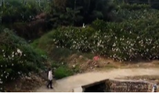 小桥托举大幸福