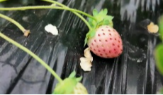 12月19日深夜快递