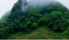 12月19日幸福观察