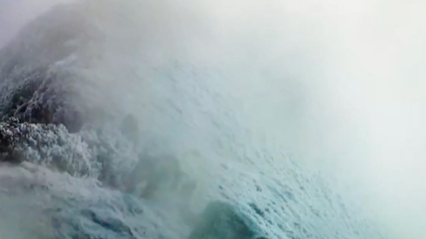 成都大熊猫国家公园：雪豹母子踏雪巡山