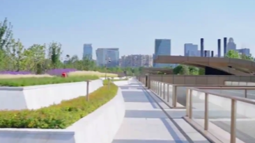 12月25日深夜快递