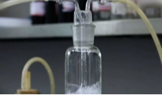 12月29日幸福观察