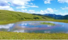 1月2日幸福观察