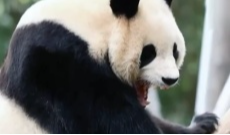 1月4日幸福观察