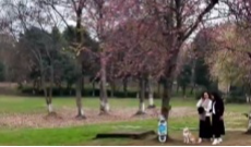 1月12日幸福观察