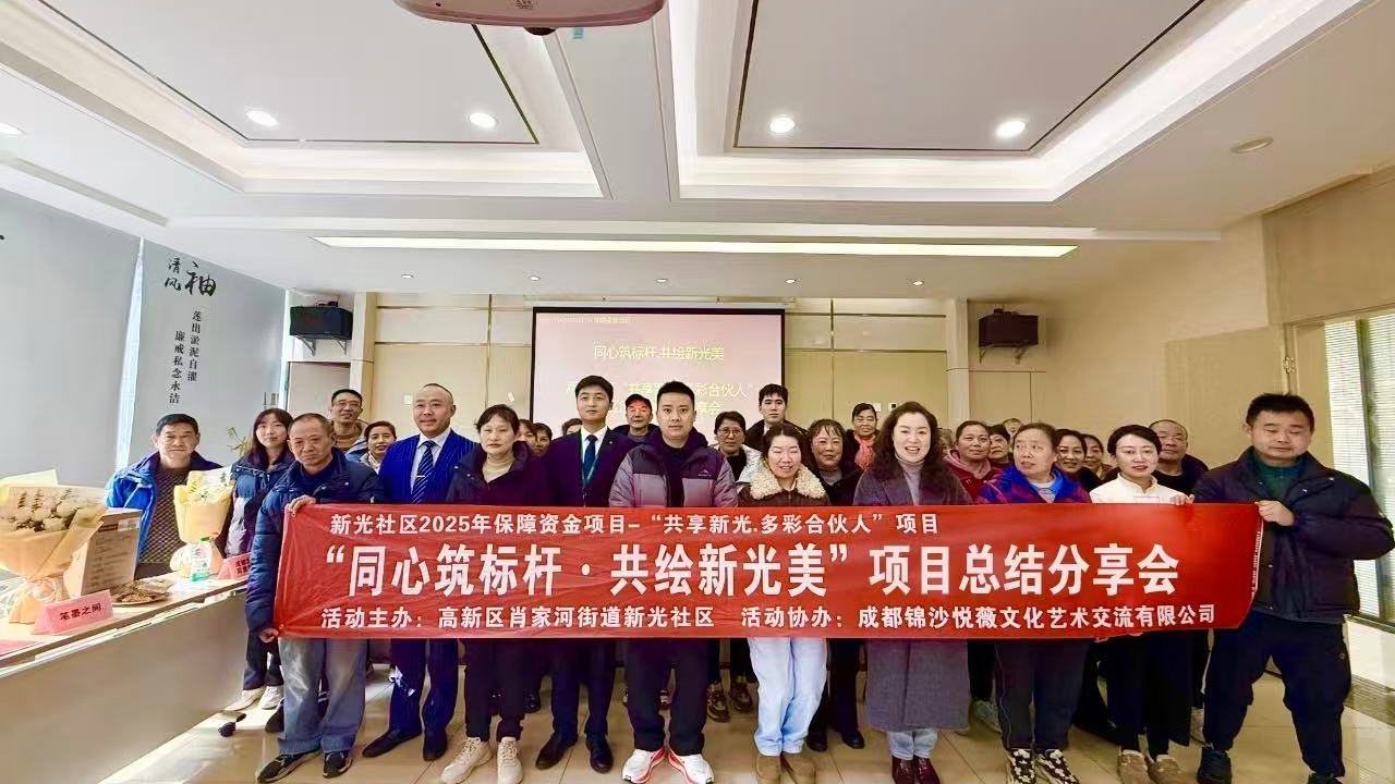 肖家河街道开展“共享新光·多彩合伙人项目”年度总结暨分享会