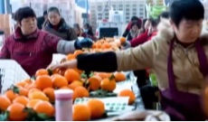 1月13日幸福观察